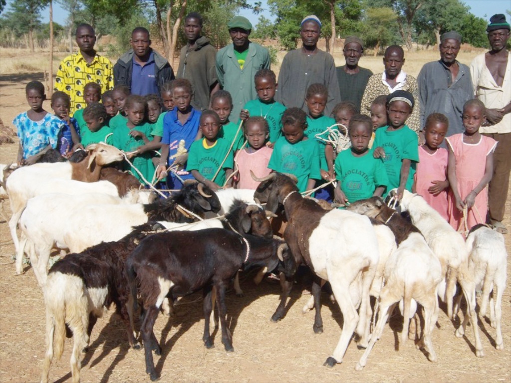 Lambs for Girls' Education in the village of Kolkom.