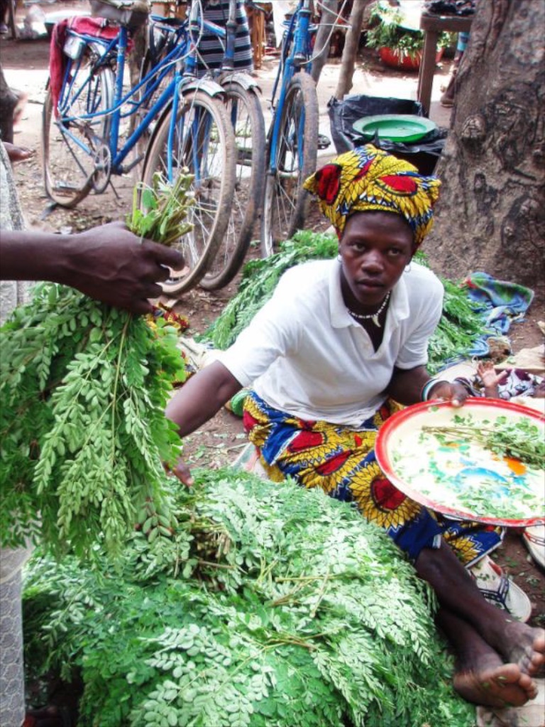 Moringa leaves being solid in the market.