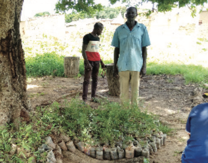 Market gardening