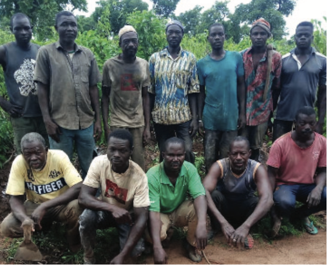 Improving yam production